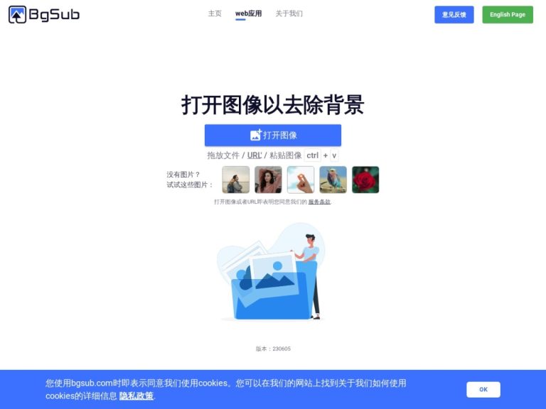 BgSub 产品图 2
