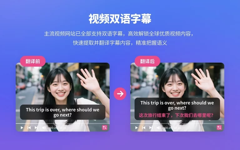 沉浸式翻译 产品图 3