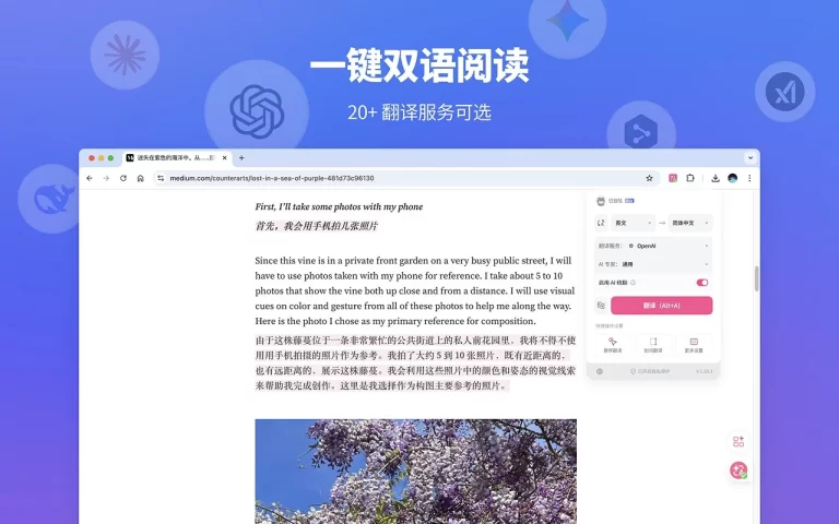 沉浸式翻译 产品图 1